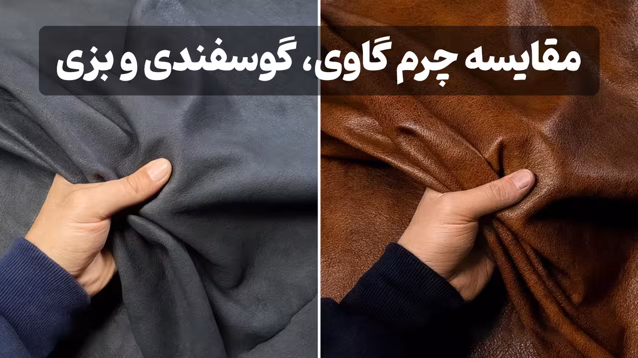 تفاوت چرم گاوی و گوسفندی
